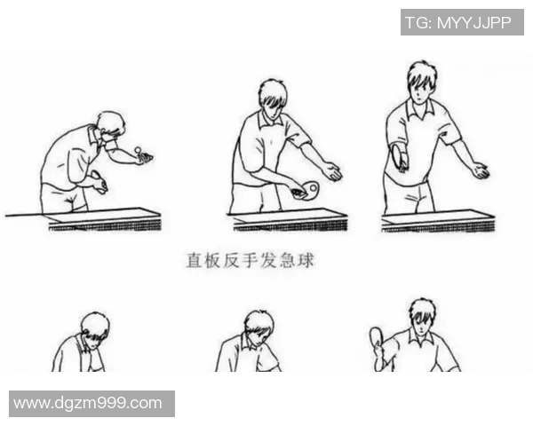 科学乒乓球技术训练方法的全面解析与实用技巧分享