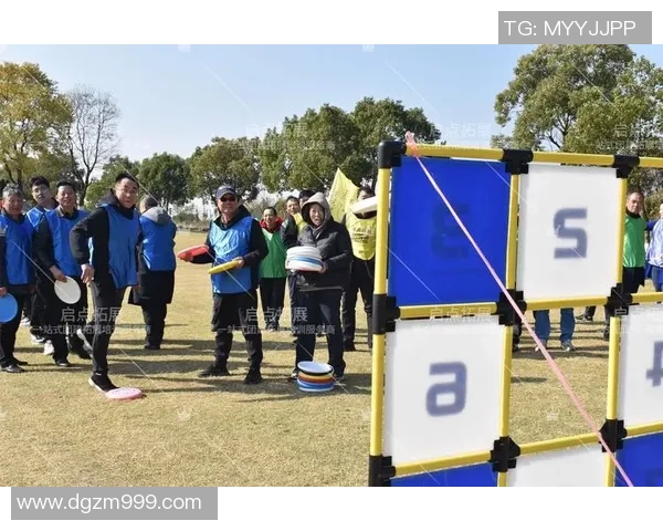 2026飞盘团队协作排名：南京飞盘队创新高